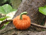 Knitted pumpkin